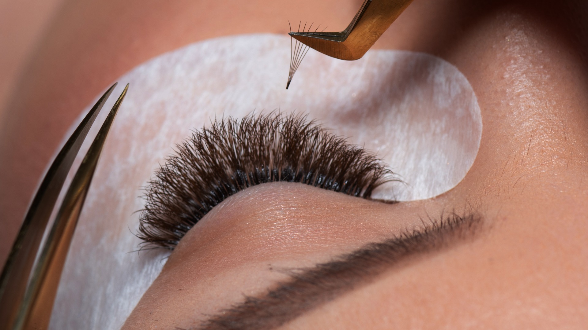 Falsche Wimpern bereit zum Auftragen in der Pinzette. Ablauf einer Wimpernverlängerung
